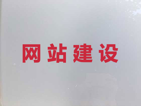 文山网站建设